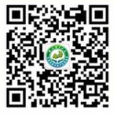QQ截图20240913170705