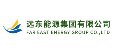 远东能源集团有限公司